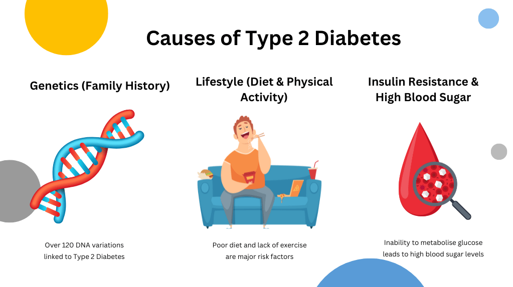 Type 2 Diabetes Causes